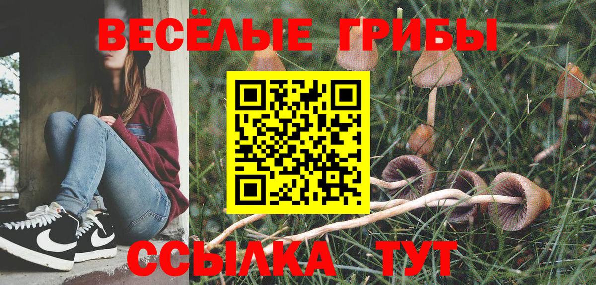Псилоцибиновые грибы Magic Shrooms Нурлат