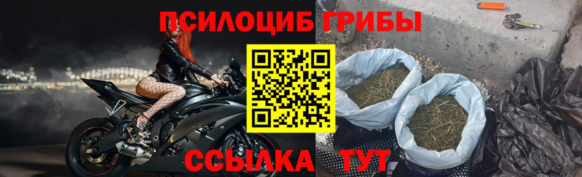 Нурлат  Псилоцибиновые грибы Cubensis  Вход с VPN 